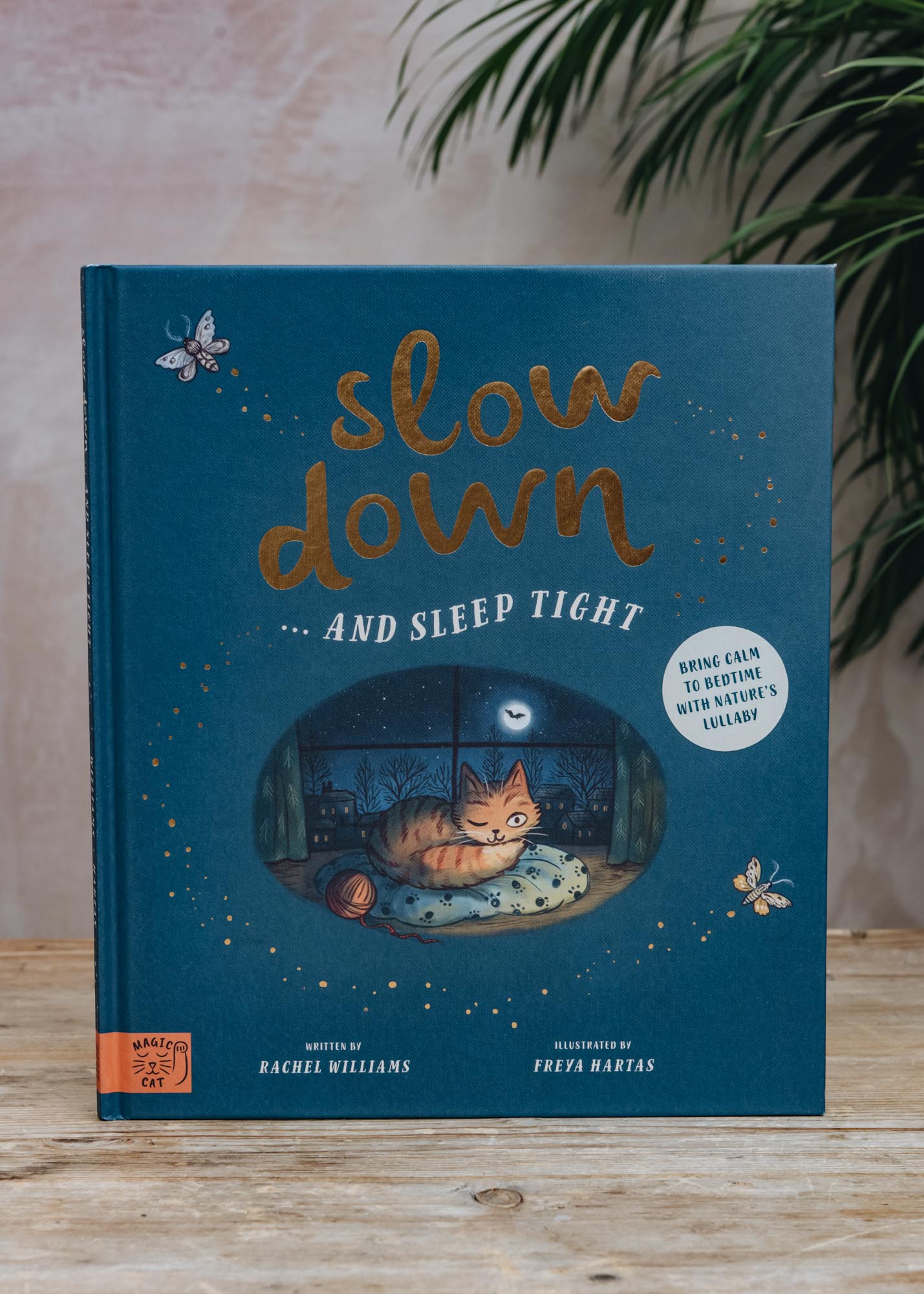 Slow Down and Sleep Tight by Rachel Williams, Illustrated by Freya Hartas