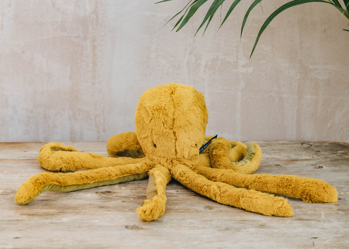 Small Octopus Soft Toy