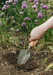 Sneeboer Transplanting Trowel with Cherry Handle