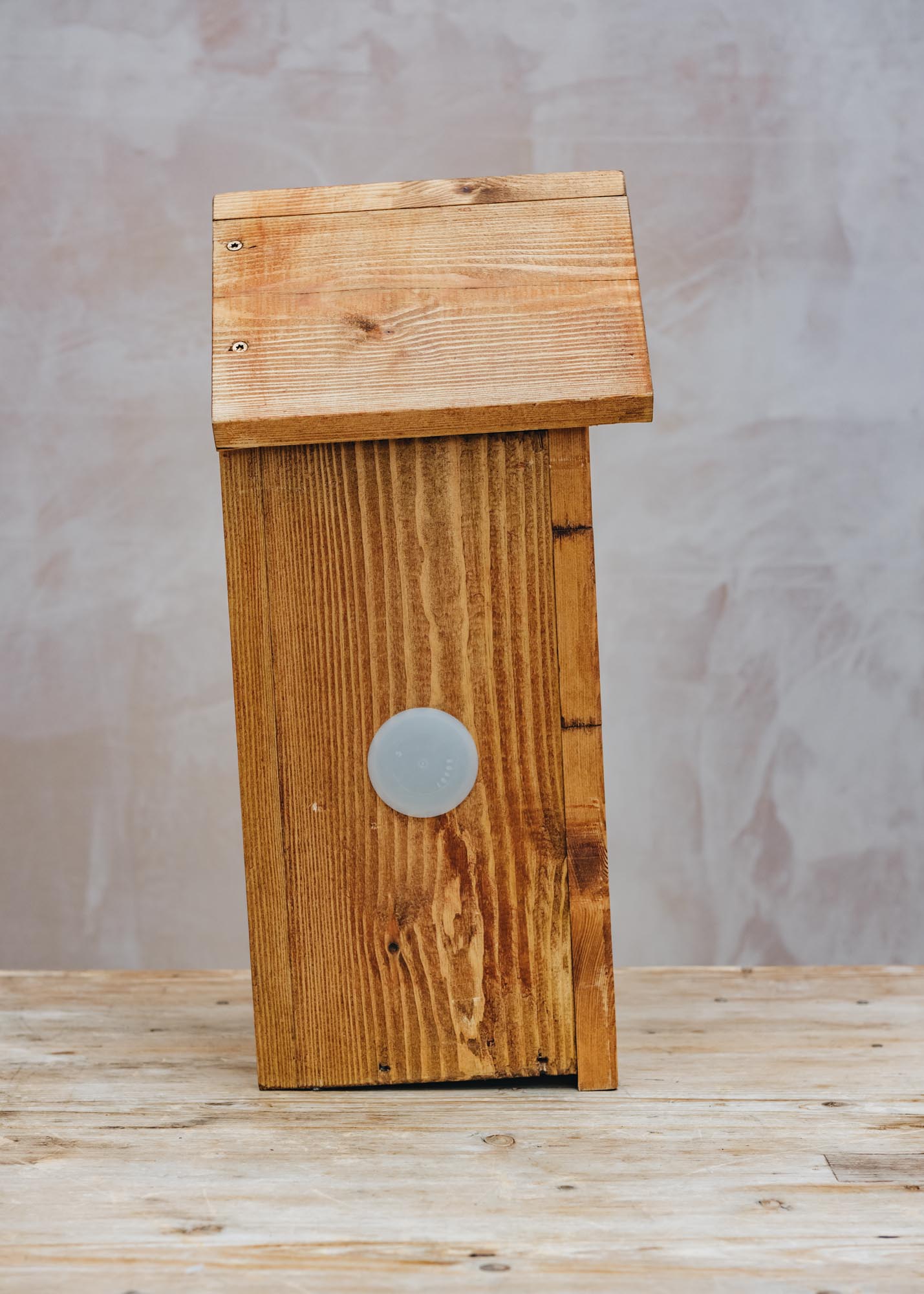 Solar Camera Ready Bird Box with Side Windows