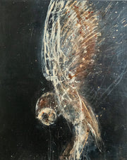 Burford Gallery Moon Feathers