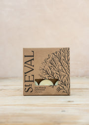 St Eval Sea Moss and Driftwood Scented Tealights