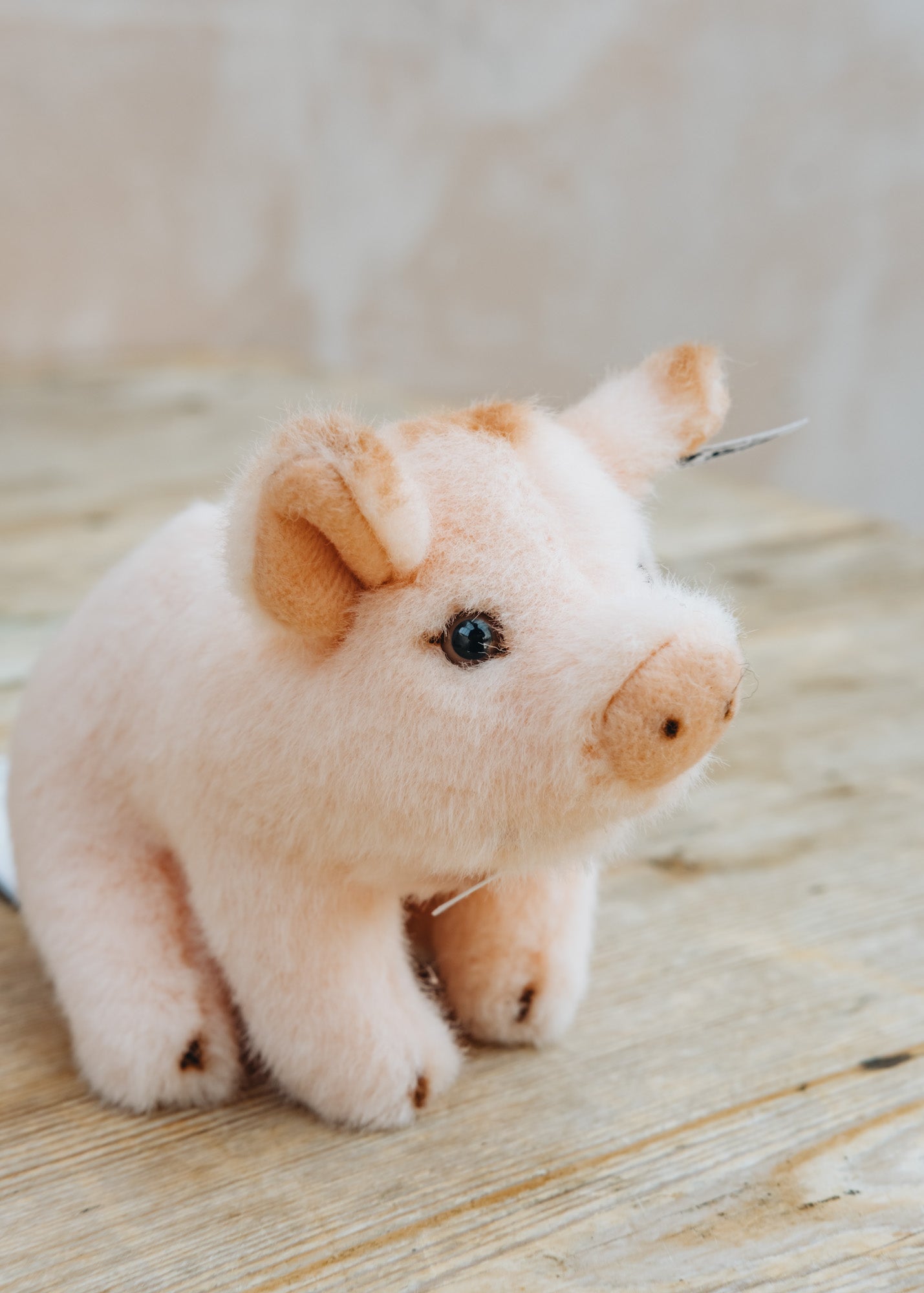 Steiff Sissi Pink Piglet – Burford Garden Co.