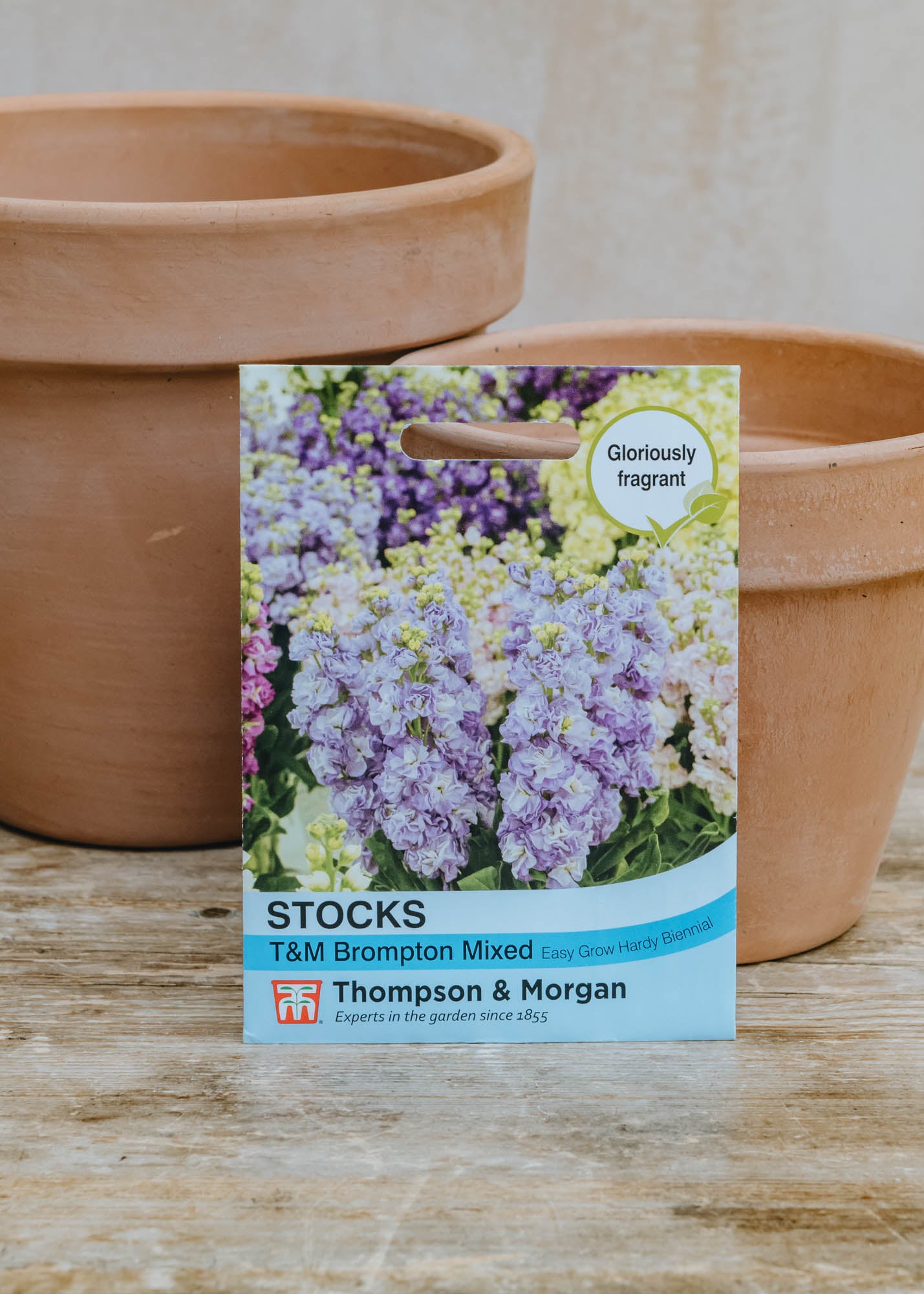 Stocks T&M Brompton Mixed Seeds