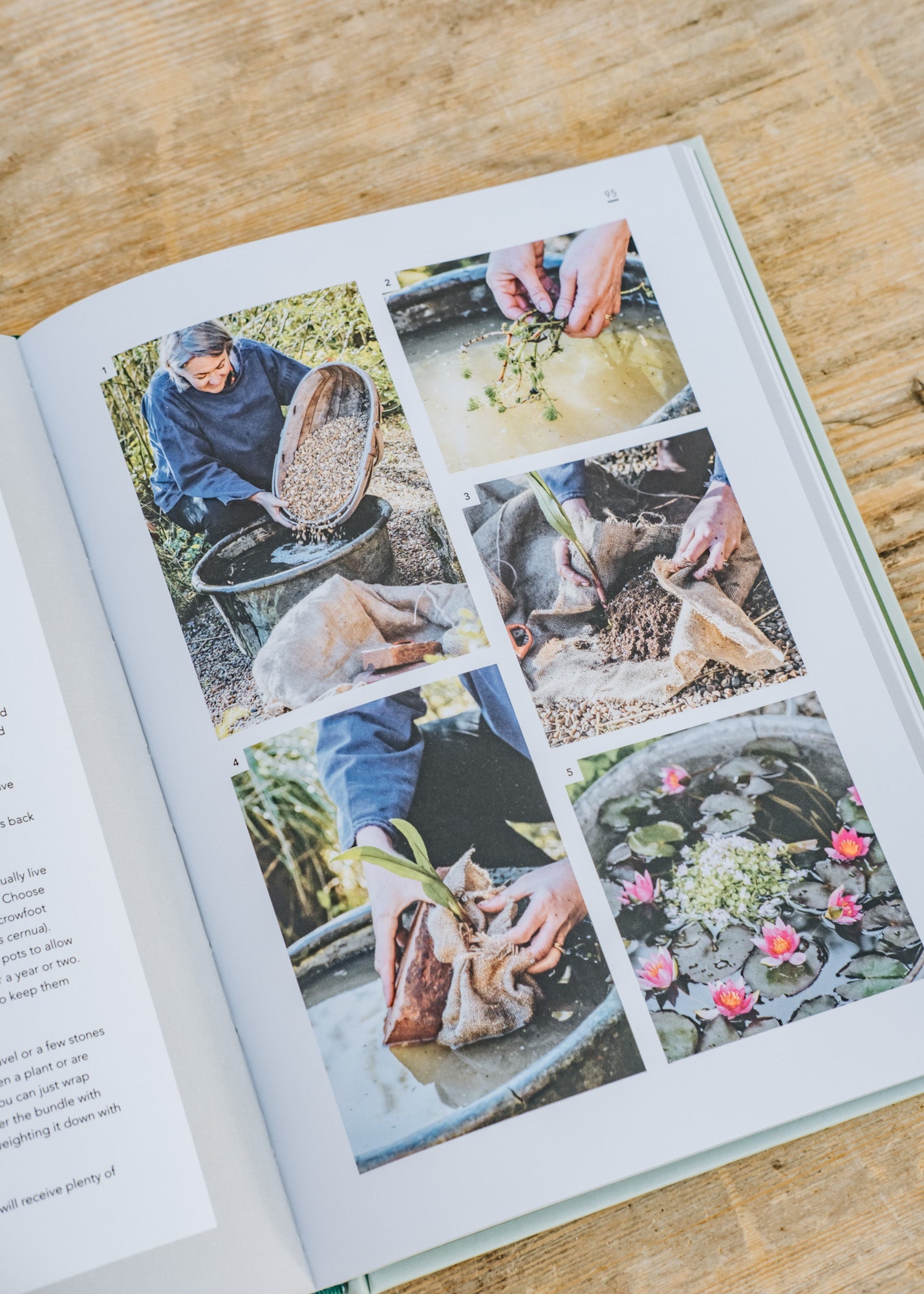 Books Sustainable Garden: Projects, insights and advice for the eco-conscious gardener 