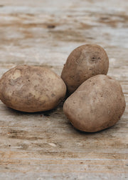 Taylors Bulbs Potato 'Swift’