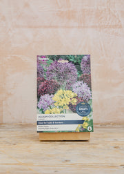 Allium Bulb Collection