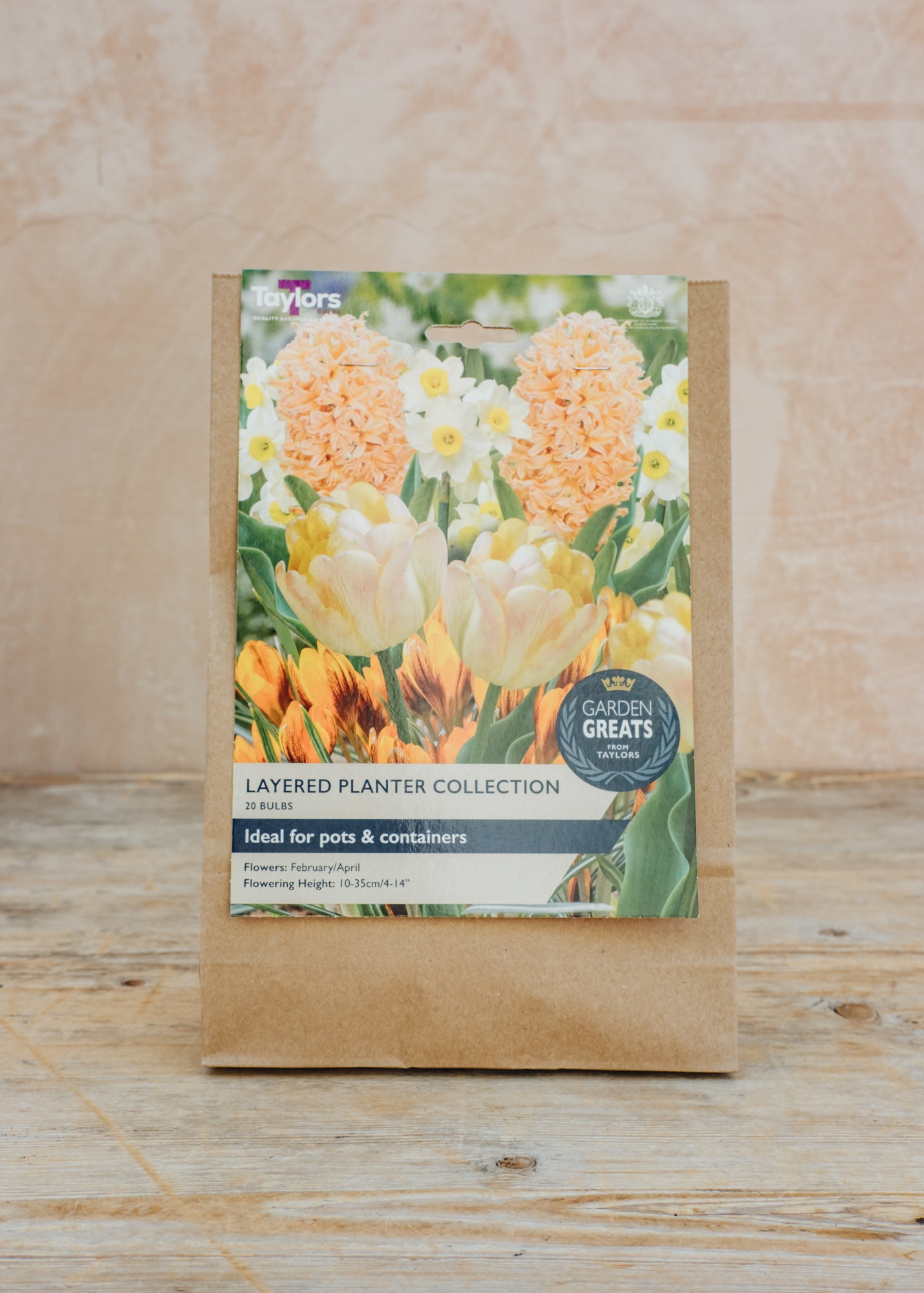 Taylors Bulbs Layered Planter Bulb Collection