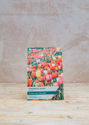 Mixed Perennial Tulip Bulbs Collection