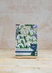 Snowdrop Bulb Collection
