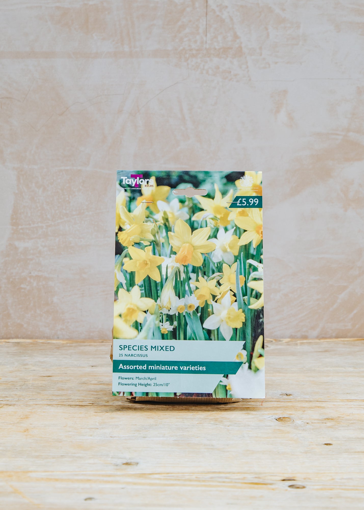 Mixed Narcissi Species Bulb Collection