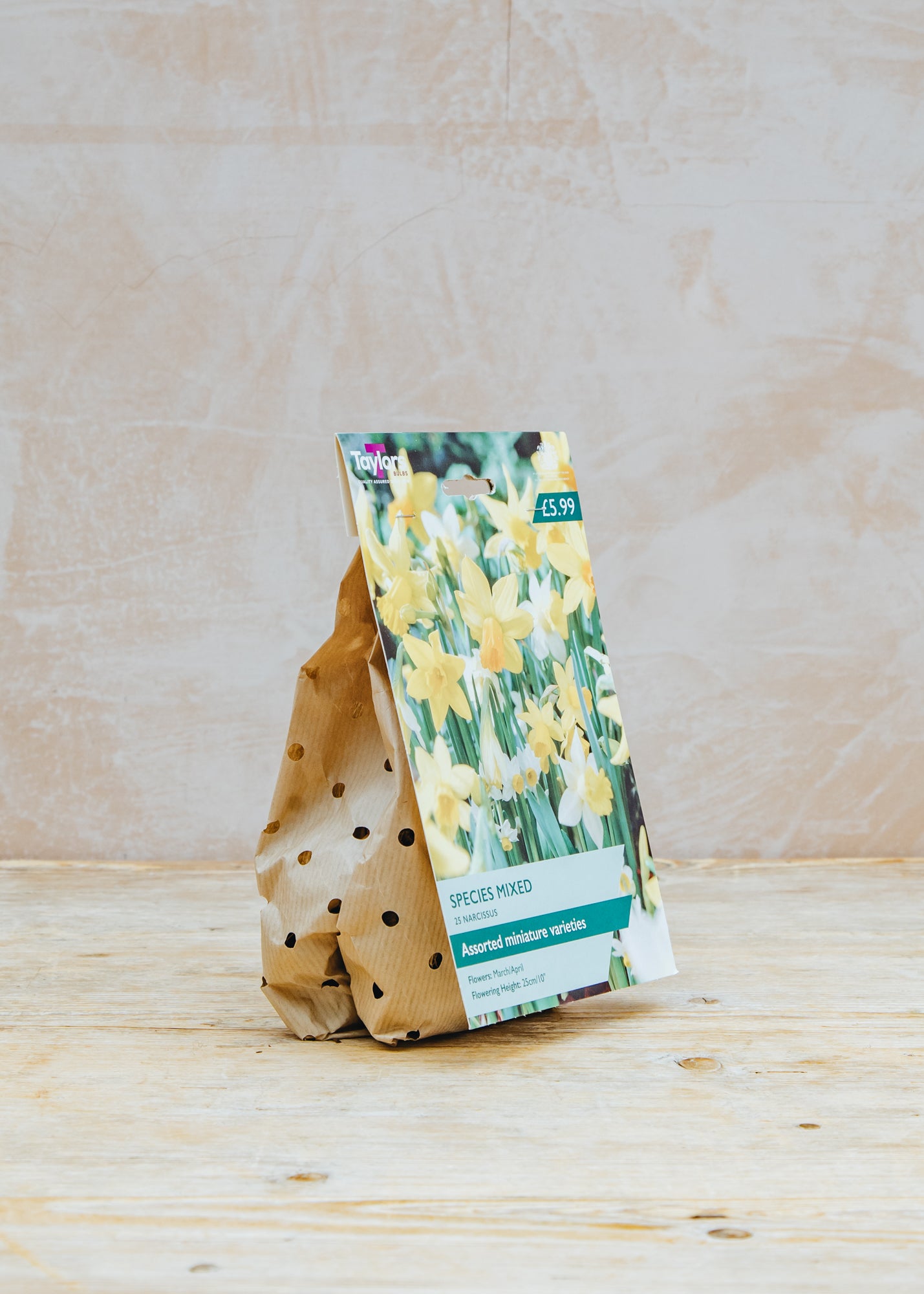 Taylors Bulbs Mixed Narcissi Species Bulb Collection