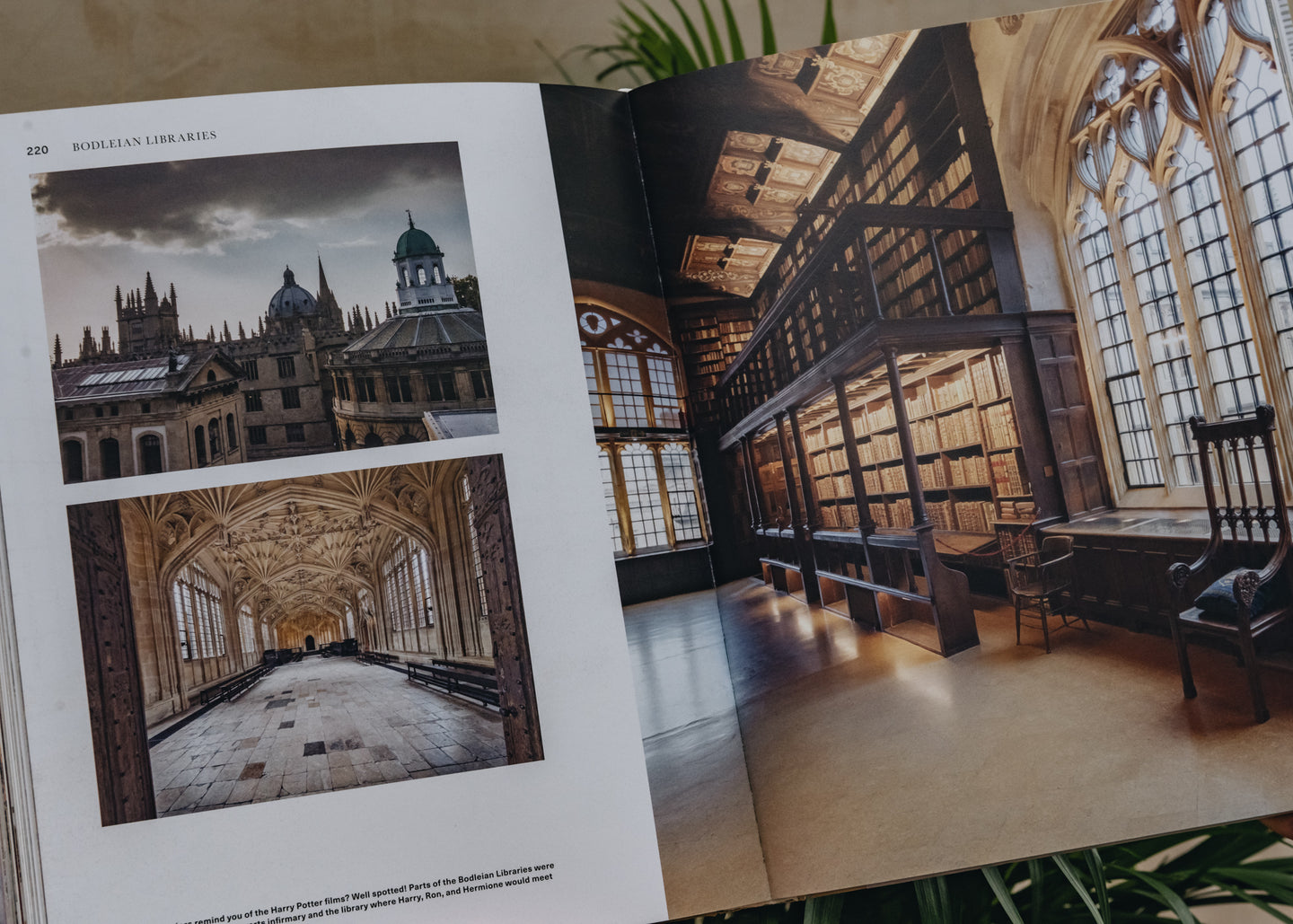 Books Temples of Books: Magnificent Libraries Around the World