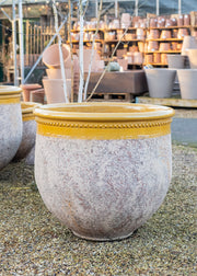 Bergs Potter Large Classic Bugadier in Honey, 76cm