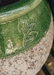 Terres D'Albine Olive Pot with Green Neck with Burford Leaf Stamp, 60cm