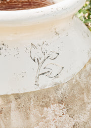 Terres D'Albine Prestige Olive Pot with Ivory Neck with Burford Leaf Stamp, 70cm