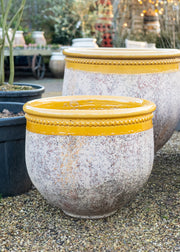 Bergs Potter Small Classic Bugadier in Honey, 55cm