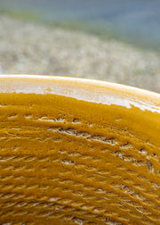 Terres D'Albine Small Classic Bugadier in Honey, 55cm