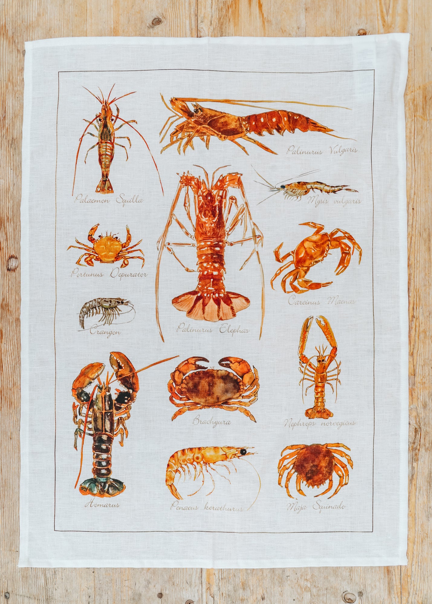 Kitchen Towel in La Mer Crostacei