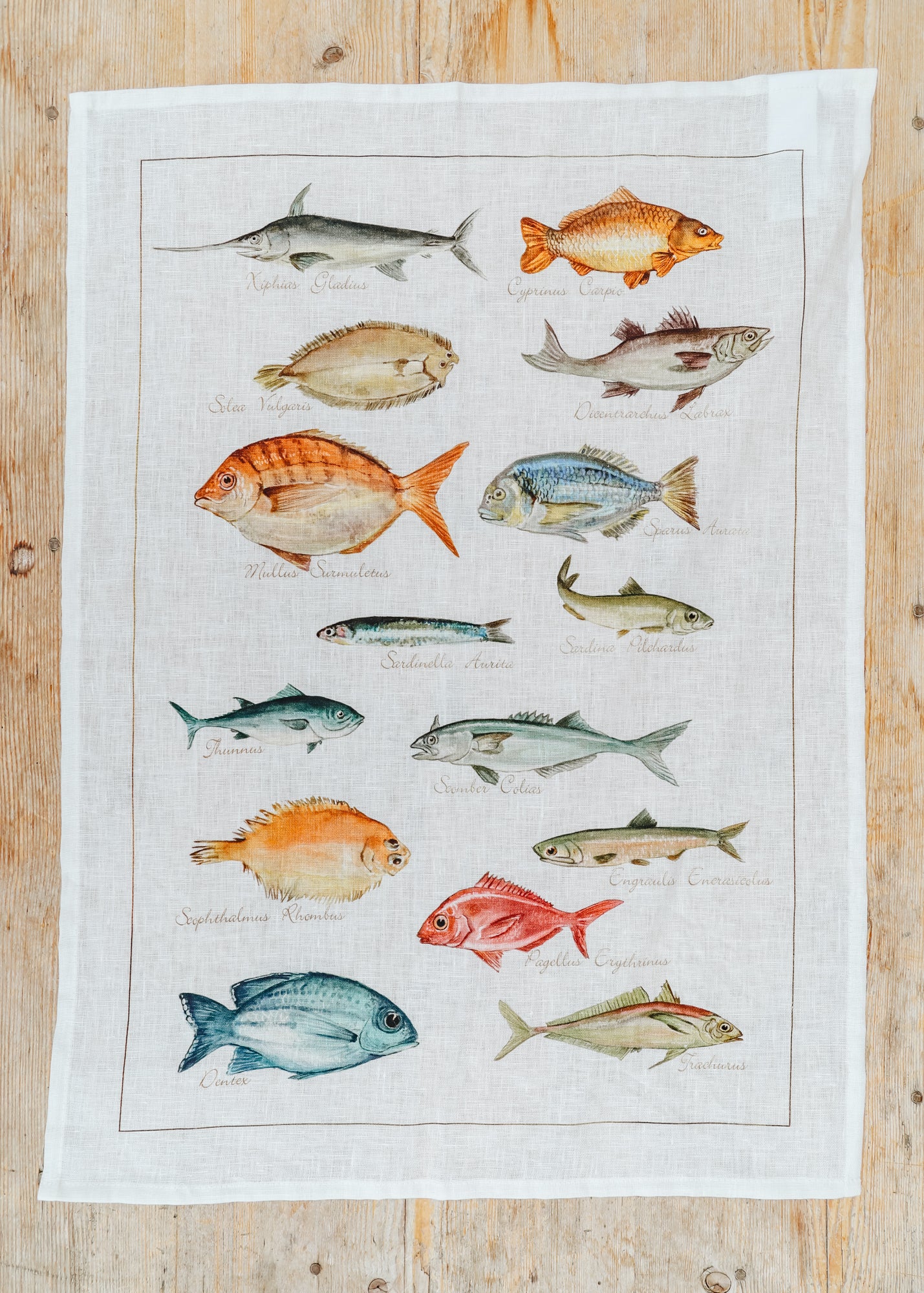 Kitchen Towel in La Mer Pesci