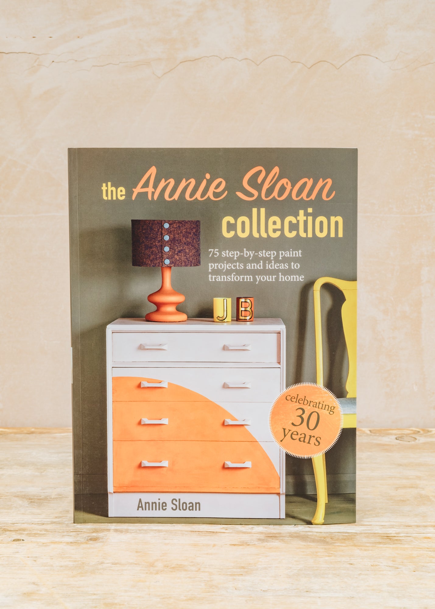 The Annie Sloan Collection: 75 Step by Step Paint Projects and Ideas to Transform Your Home 