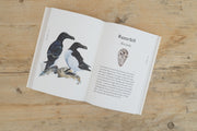 Books The Book of Birds 