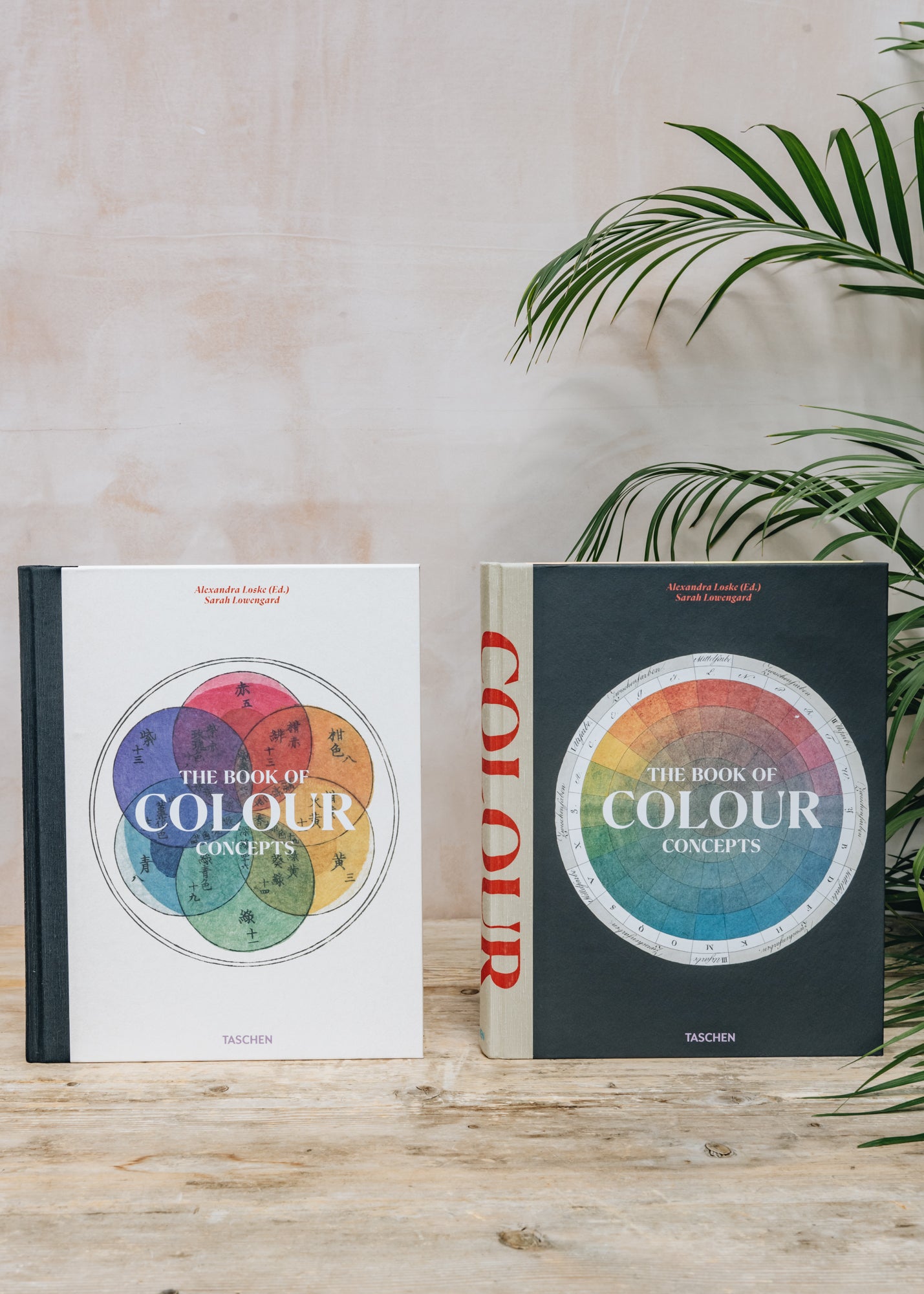 Taschen The Book of Colour Concepts