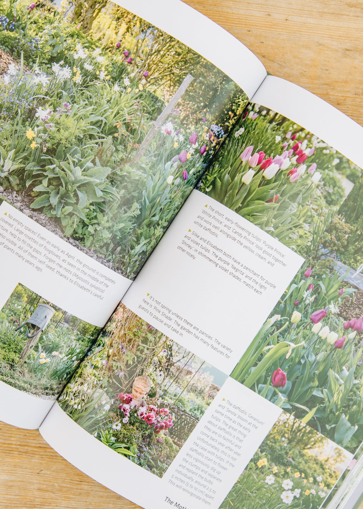 The Cottage Garden – Burford Garden Co.