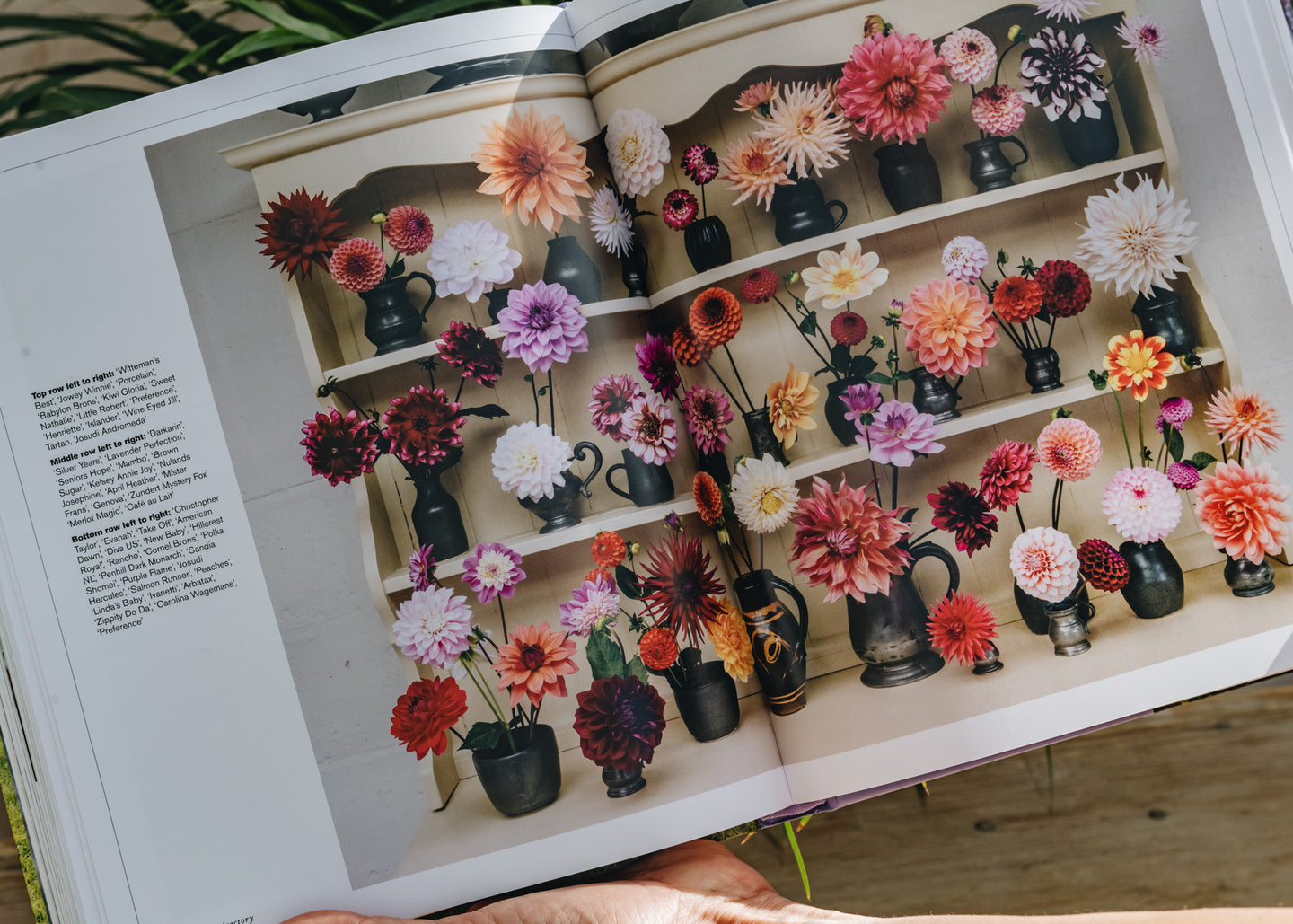 The Cut Flower Sourcebook (Limited Signed Copies)