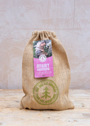 The Fairy Garden Kit