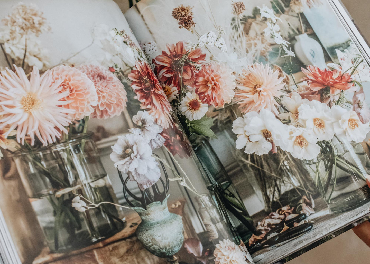 Garden and Plants Books The Flower Hunter by Lucy Hunter
