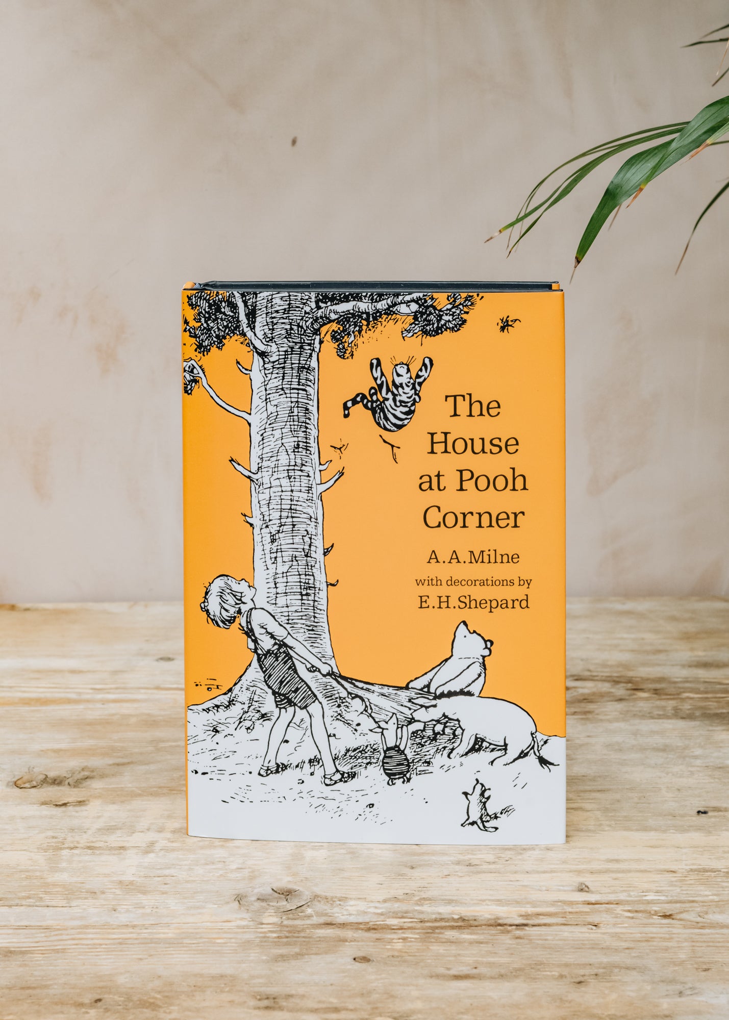 Books The House at Pooh Corner
