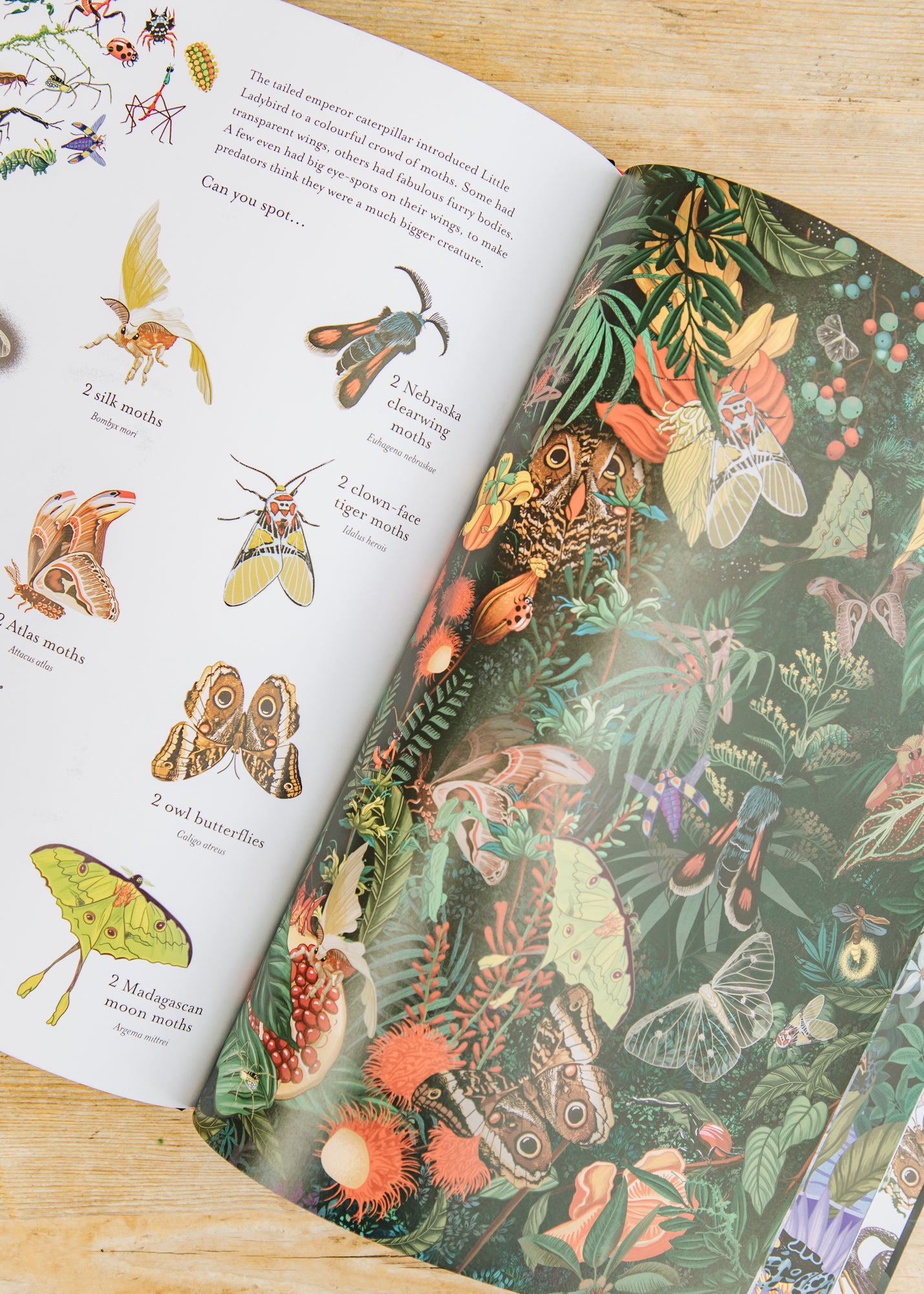 Books The Incredible 3D Bug Hunt