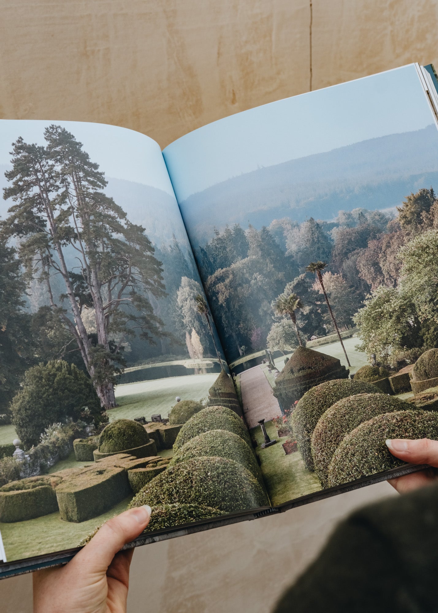 Books The Irish Country House: A New Vision