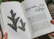 Garden and Plants Books The Lives of Leaves: 50 Leaves, What They Mean and What They Mean To Us