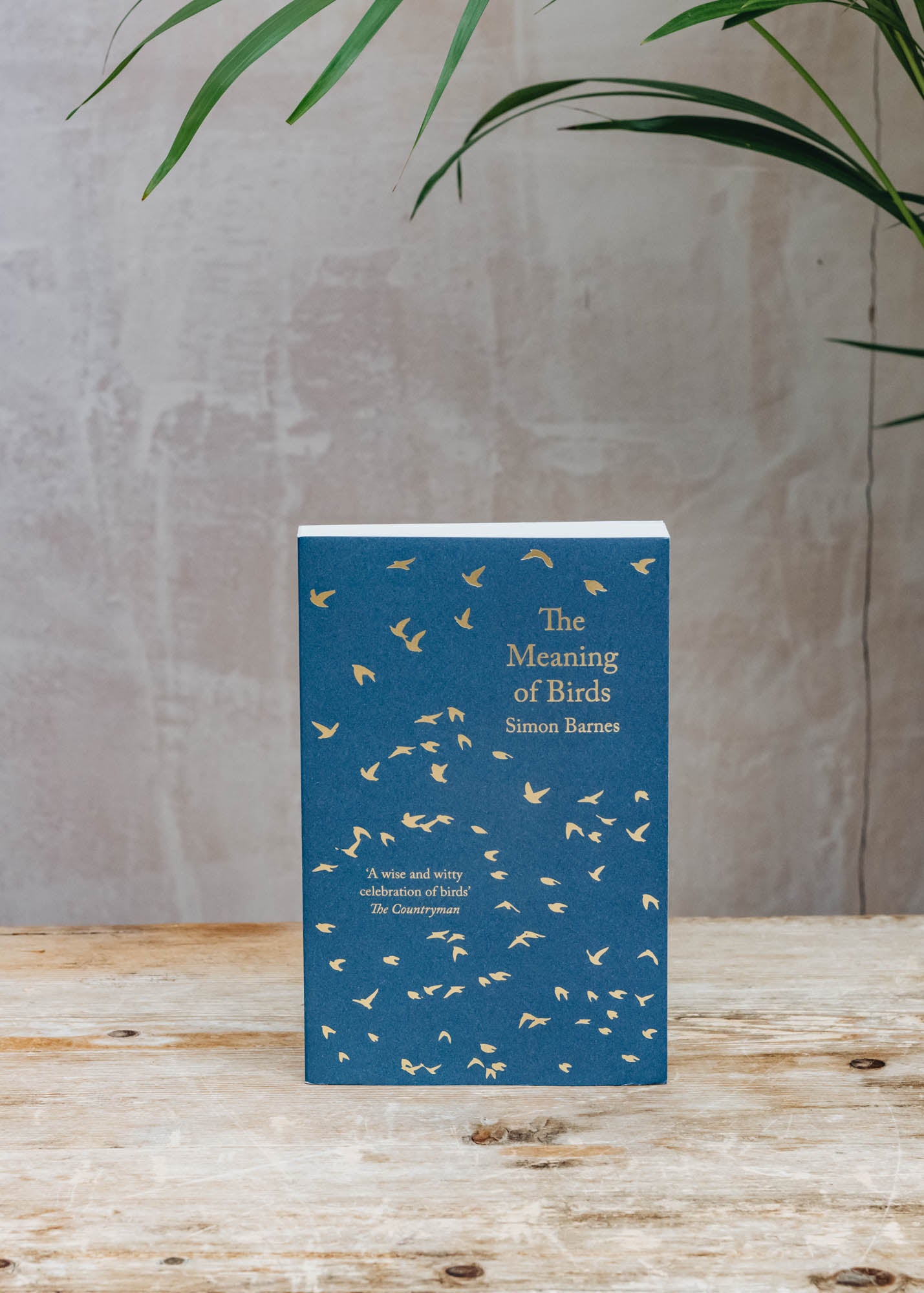Nature Books The Meaning of Birds