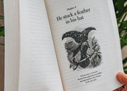 Nature Books The Meaning of Birds