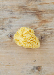 Honeycomb Bath Sea Sponge, 4-4.5