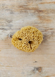 Honeycomb Bath Sea Sponge, 4.5-5