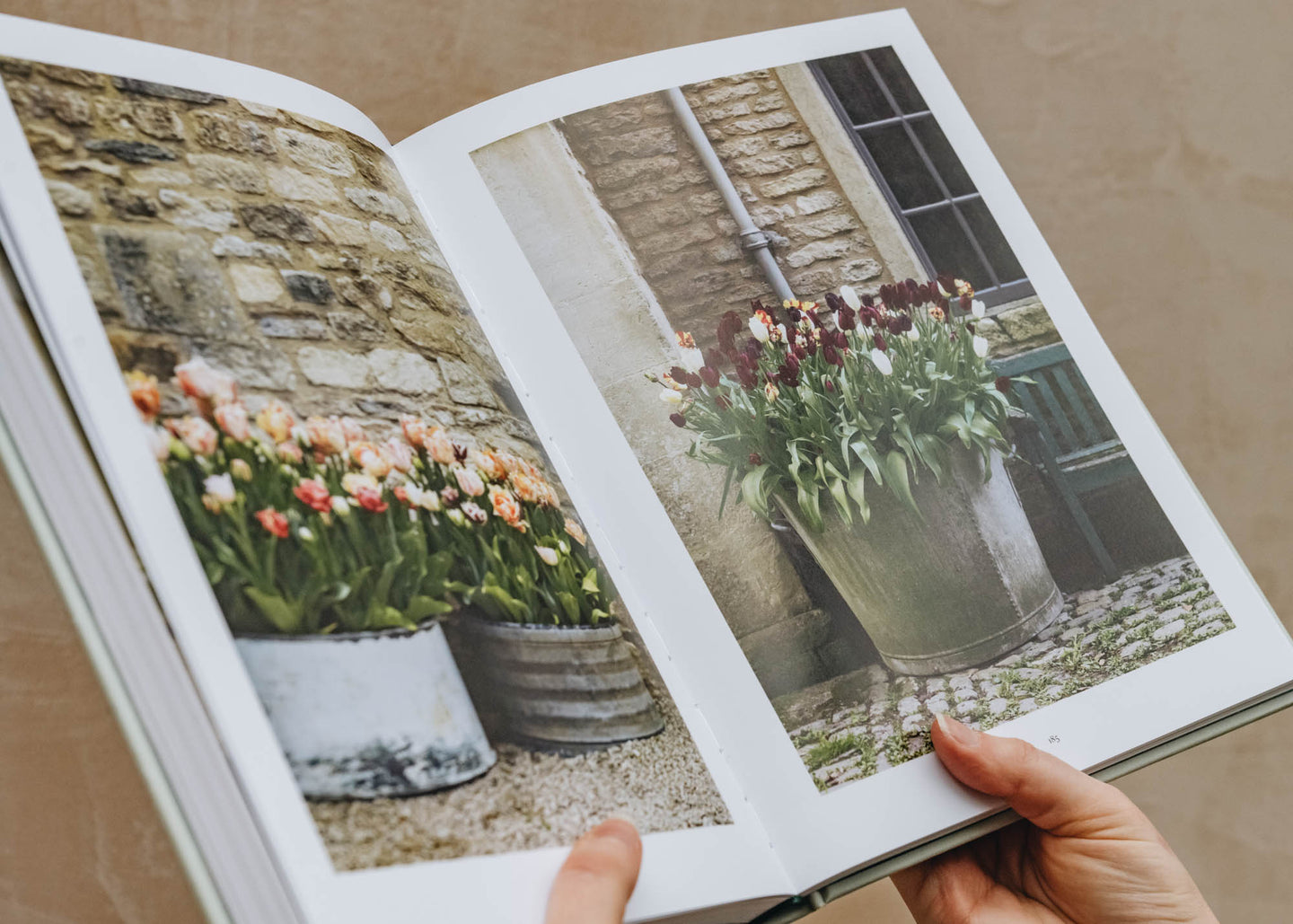 Books The Tulip Garden by Polly Nicholson