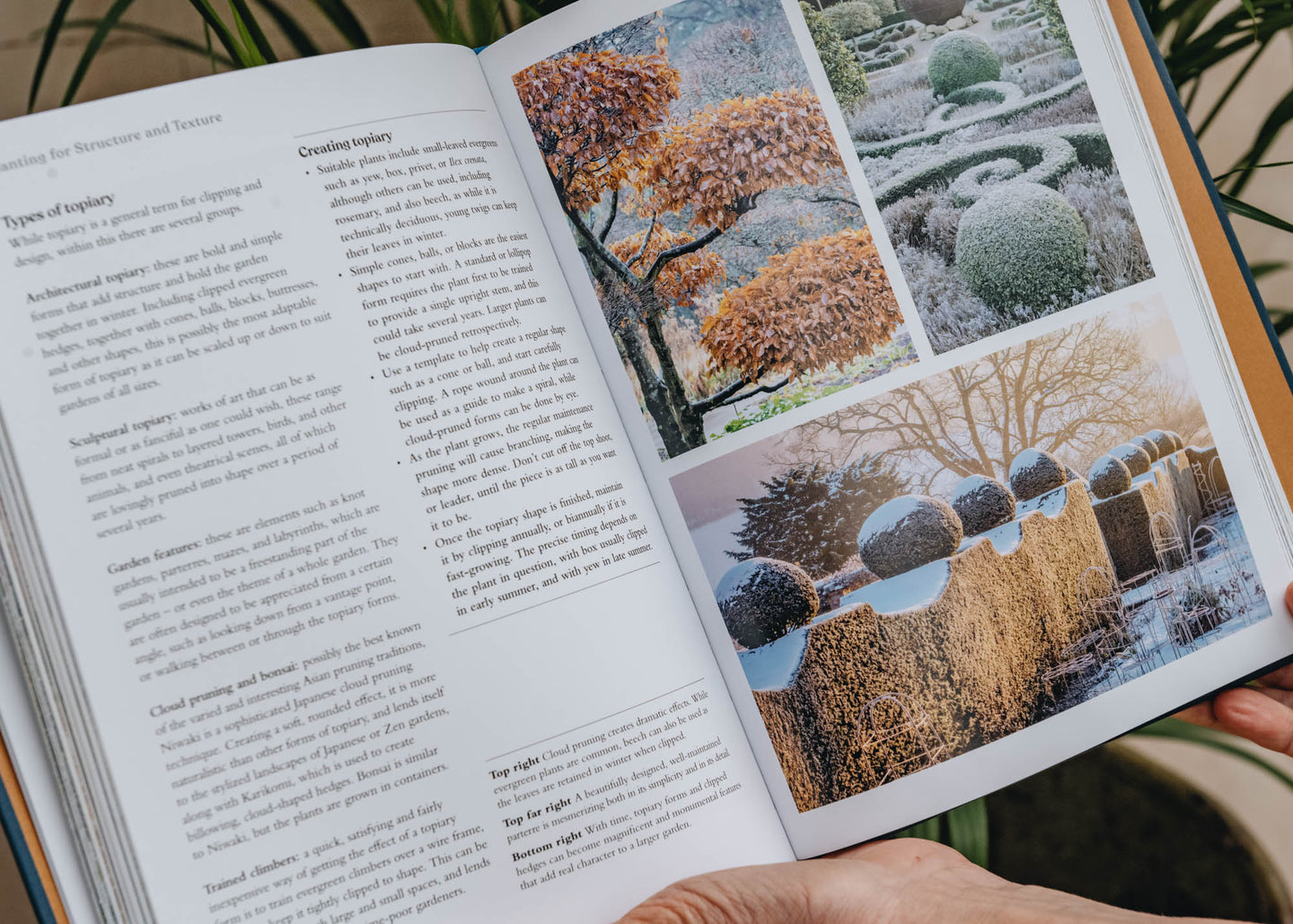 Gardening Books The Winter Garden