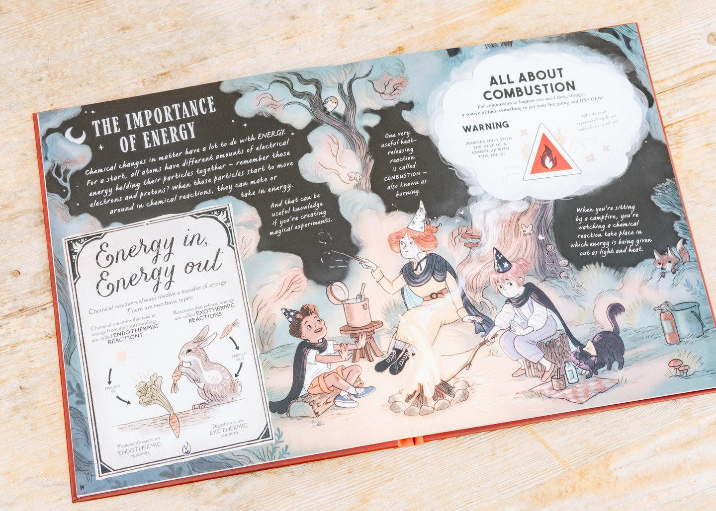 Books The Wizard's Guide to Magical Experiments