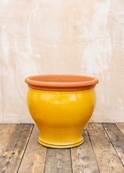 Extra Large Bellied Planter in Hot Mustard