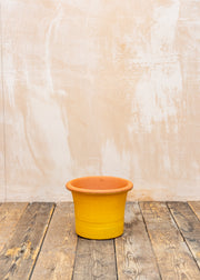 Medium Flared Planter in Hot Mustard