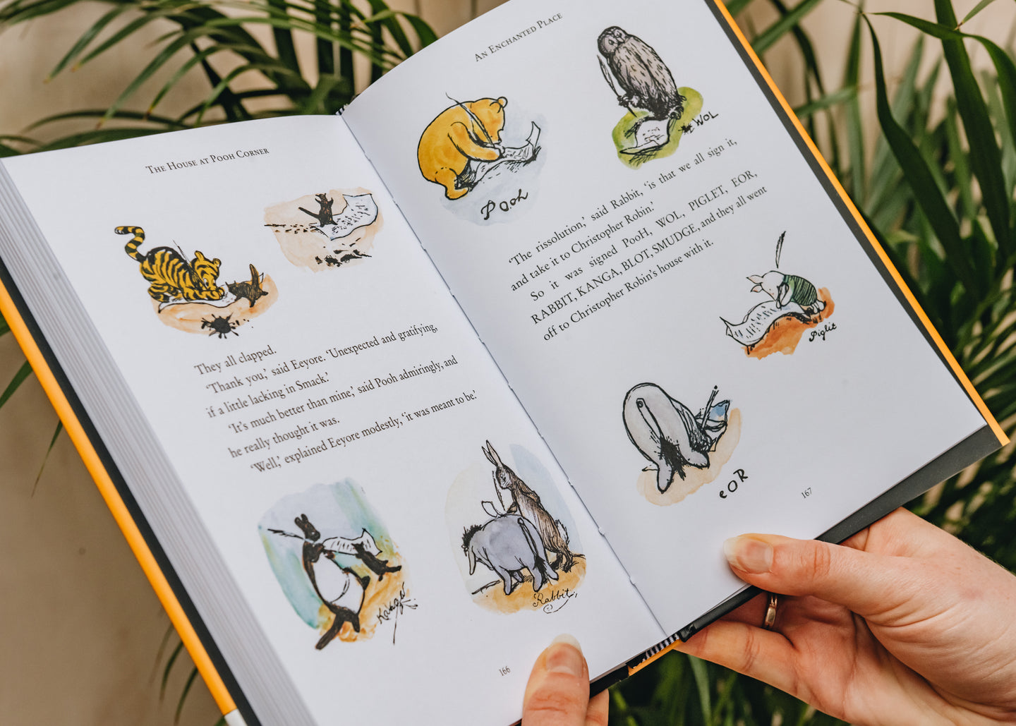 Books The House at Pooh Corner