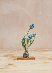 Grape Hyacinth Objet D'Art