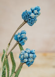 Trovelore Grape Hyacinth Objet D'Art