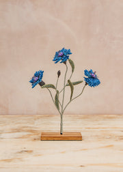 Three Cornflowers Objet D'Art