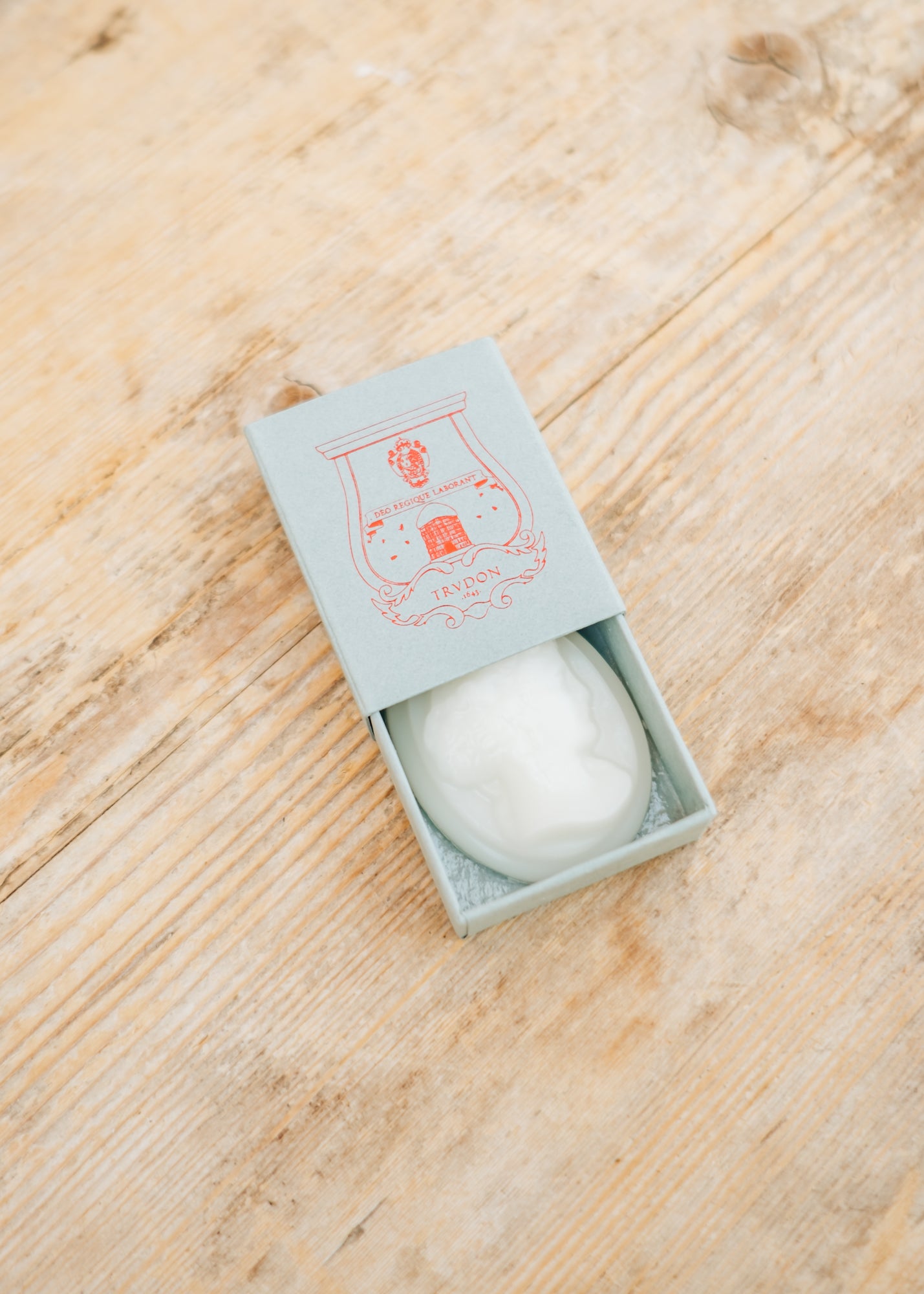 Scented Cameo in Josephine, pack of four – Burford Garden Co.