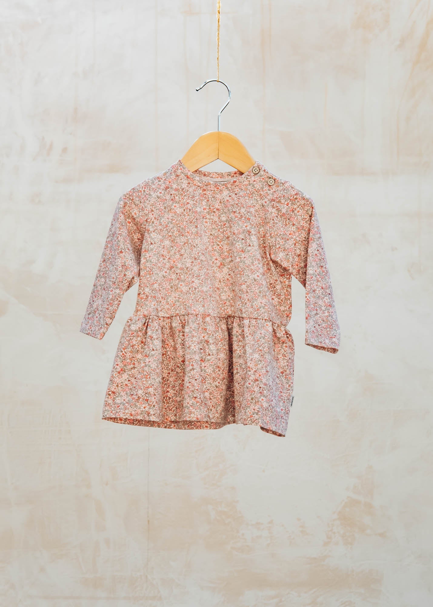 Babies' Bessie Long Sleeved Dress in Rose Dust Flower Meadow
